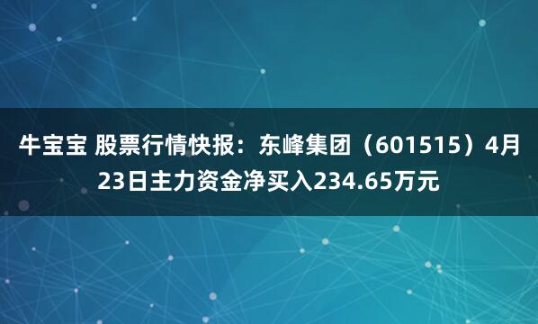 牛宝宝 股票行情快报：东峰集团（601515）4月23日主力资金净买入234.65万元