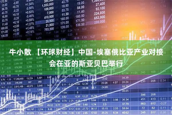 牛小散 【环球财经】中国-埃塞俄比亚产业对接会在亚的斯亚贝巴举行