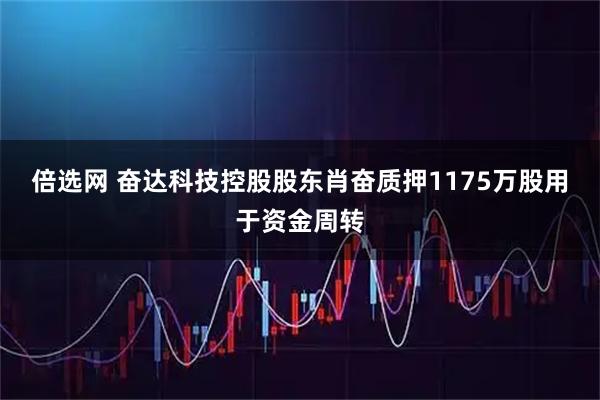 倍选网 奋达科技控股股东肖奋质押1175万股用于资金周转