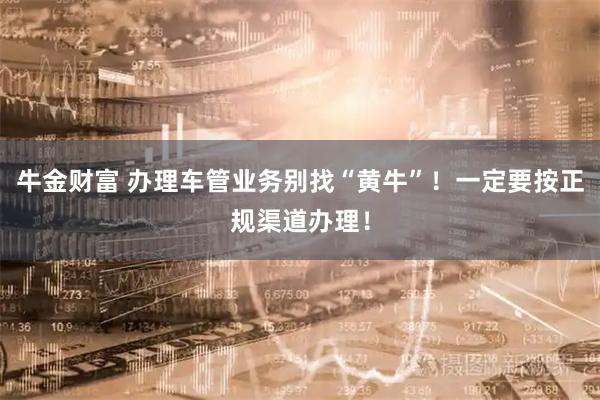 牛金财富 办理车管业务别找“黄牛”！一定要按正规渠道办理！
