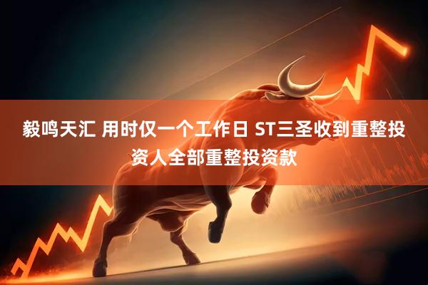 毅鸣天汇 用时仅一个工作日 ST三圣收到重整投资人全部重整投资款