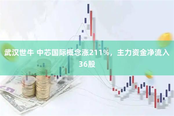 武汉世牛 中芯国际概念涨211%，主力资金净流入36股