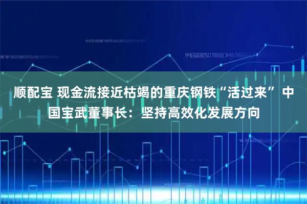 顺配宝 现金流接近枯竭的重庆钢铁“活过来” 中国宝武董事长:坚持高效化发展方向